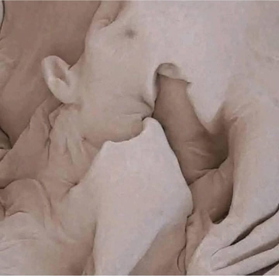 8 Steps to make a woman come in less than a minute…. Read More
